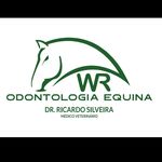 Profile Picture of Ricardo Wagner Deus Silveira (@wrodontologiaequina) on Instagram
