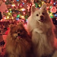 Profile Picture of Neil Kramer (@neil-kramer-11) on Quora