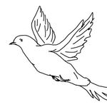 Profile Picture of Avery Clint (@avery_clint) on Instagram