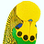 Profile Picture of Vitor Hugo Amorim (@criadouro amorim) on Flickr