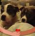 Profile Picture of Angie Hatch (@Angie-Hatch) on Facebook