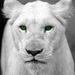 Profile Picture of Alexander Almanzar (@26alexanderalmanzar) on Pinterest