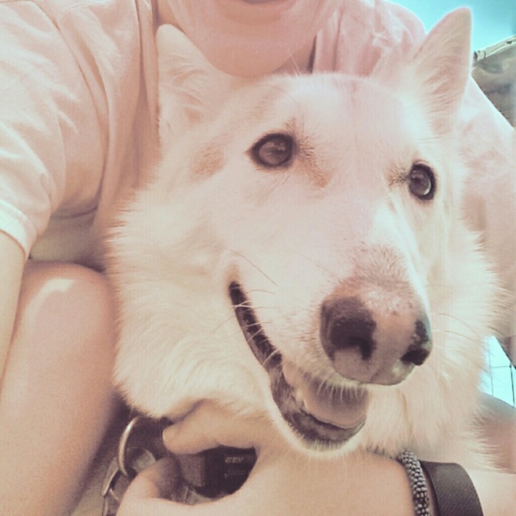 Kristen Lytle - Poshmark Profile Picture of Kristen Lytle (@lytlekl) on Poshmark