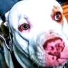 Profile Picture of Jason Nicholson (@@jaso627) on Tiktok