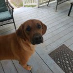Profile Picture of Kim Rushing (@kim.rushing.60) on Instagram