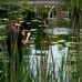 Profile Picture of Kevin Timmerman (@kevin.timmerman.524) on Facebook