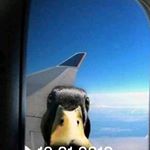 Profile Picture of Freddy Strebinger (@freddystrebinger) on Instagram