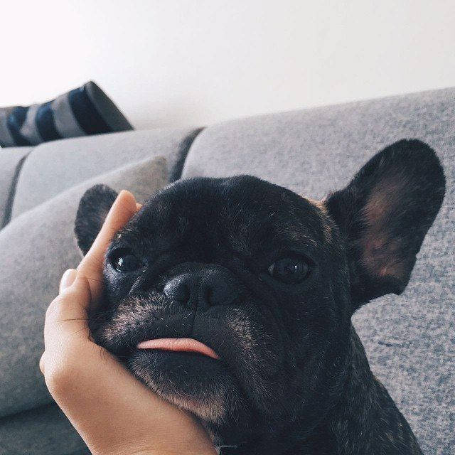 Profile Picture of Alice Sharman (@alicesharman) on Tiktok
