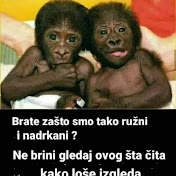 Profile Picture of Munevera Ajanovic (@muneveraajanovic9910) on Youtube