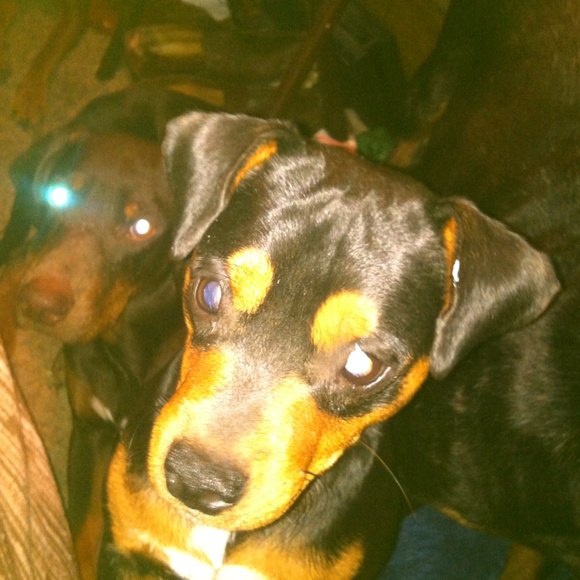 Profile Picture of Wilma Marshall (@lilwoman75) on Poshmark