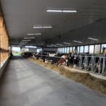 Profile Picture of Pam & Terry Charlton (@elm_bend_farms) on Instagram