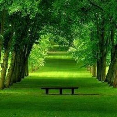 Profile Picture of Gloriamtz Flores (@Infierno_gloria) on Twitter