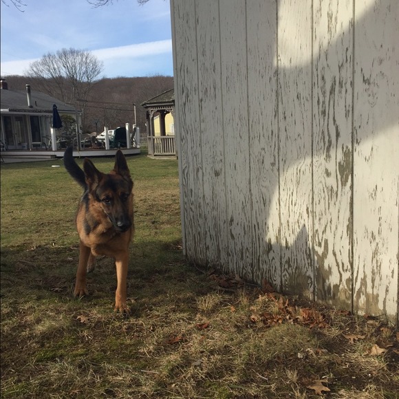 Profile Picture of Lena Kudla (@lenagus) on Poshmark