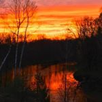 Profile Picture of Dawn Lancaster (@dawnlancaster.realtor) on Instagram