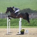 Profile Picture of Debbie R. Persinger (@debbie.r.persinger) on Instagram