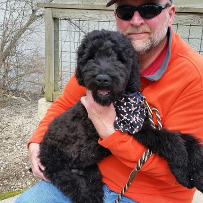 Profile Picture of Mike Tallent (@miketallent3) on Twitter