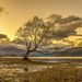 Profile Picture of Peter Hasson (@haspete) on Pinterest