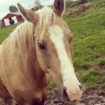 Profile Picture of Katelyn Wooten (@katelynwooten107) on Instagram