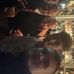Profile Picture of Alex Gill (@Alex-Gill) on Facebook