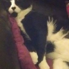 Profile Picture of Jennifer Jones (@jenners2015) on Twitter