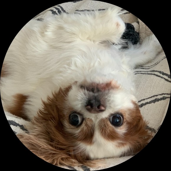 Profile Picture of Danielle Forgione (@apolloeye4style) on Poshmark