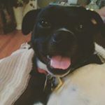 Profile Picture of Grady Bailey (@gradybailey) on Instagram
