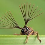 Profile Picture of Sean 🍌 (@kasleriminbasler) on Instagram