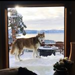 Profile Picture of Keri Larsen Reviglio (@mountainsofsnow) on Instagram