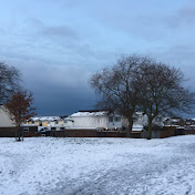 Profile Picture of David Bray (@davidbray1358) on Youtube