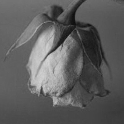 Ameer|| ☁️ - Twitter Profile Picture of Ameer|| ☁️ (@ameer_bar) on Twitter