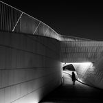 Profile Picture of Paloma Huckabee (@palomahuckabee338) on Instagram