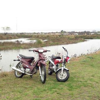 Profile Picture of Gianluca Brignoni (@GianlucaBrignoniCR) on Facebook