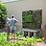 Profile Picture of Ron  Wolford (@U of IL Extension Smart Home Garden) on Flickr