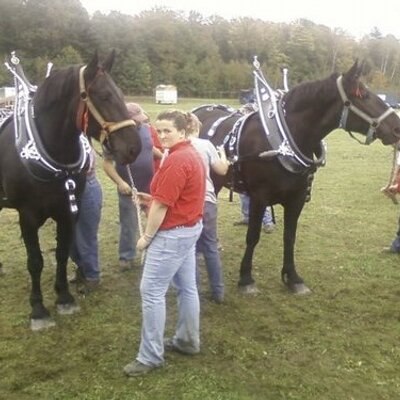 Profile Picture of Tabitha Haney (@TabithaHaney) on Twitter