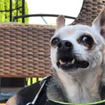 Profile Picture of Robert Leeds (@robert_leeds2) on Instagram