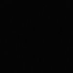 Profile Picture of Paul Rottmann (@paul______________r) on Instagram