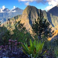 Profile Picture of André Hubert (@andr.hubert0) on Tiktok