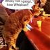 Profile Picture of Dennis Zimmermann (@dennis.zimmermann.12177) on Facebook