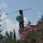 Profile Picture of 💎 john.arvan💎 (@johnrvanitis) on Instagram