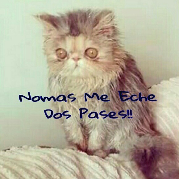 Profile Picture of Silvia Lamas (@carranzitha) on Poshmark