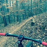 Profile Picture of Cale Collins (@cale-collins) on Quora