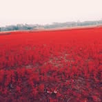 Profile Picture of Jannat Alter Monira (@jannat.alter.monira.2025) on Facebook