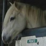 Lee Chivers - Instagram Profile Picture of Lee Chivers (@leechivers) on Instagram