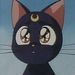 Profile Picture of LunaIris13 (@LunaIris13) on Pinterest