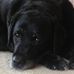 Profile Picture of Robert Fritsche (@robert.fritsche.716) on Facebook