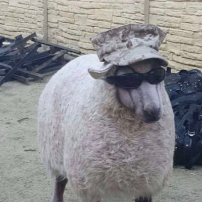 Profile Picture of Preston Cochran (@PrestonCochra11) on Twitter