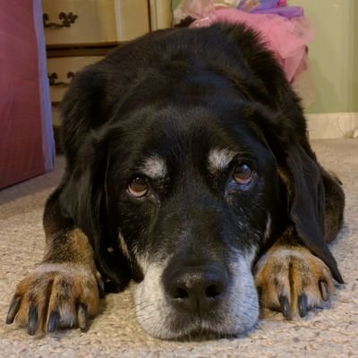 Profile Picture of Jim Leflar (@jleflar23) on Twitter
