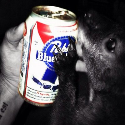 Profile Picture of Bryce Halverson (@shortys0520) on Twitter