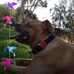 Profile Picture of Karen Swift (@karen.swift.31521) on Facebook