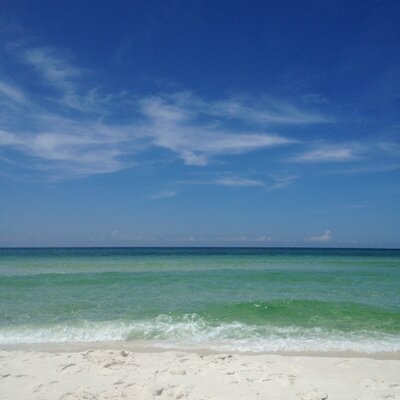 Profile Picture of Pamela Sylvester (@PamelaSylvester) on Twitter